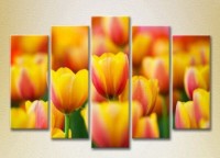 Картина Rainbow Polyptych Yellow red tulips 03 (2932808)