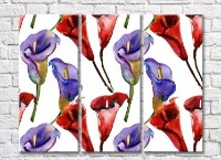 Картина Rainbow Red and purple calla lilies (3448895)