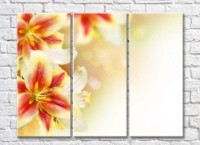 Картина Rainbow Variegated lily flowers on a light background (500521)