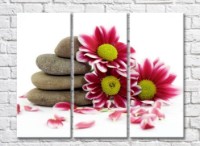 Pictură Rainbow Variegated pink chrysanthemum flowers and flat stones (500522)