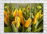 Картина Rainbow Yellow tulips and green leaves (500293)