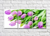 Картина Gallerix Lilac tulle and green leaves (500666)