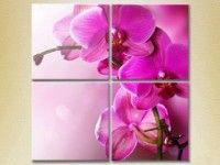 Pictură Gallerix Polyptych Purple Orchids (2932361)