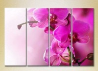 Pictură Gallerix Polyptych Purple Orchids 01 (2932363)