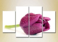 Pictură Gallerix Polyptych Purple Tulip 01 (2932377)