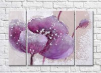Картина Gallerix Purple flower on beige background oil painting (500763)