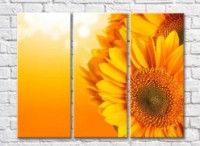 Картина Gallerix Sunflower flowers on an orange background (500772)