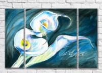Pictură Magic Color White calla lilies on a Turquoise background (3572546)