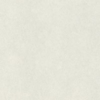 Обои Rasch 957303  Raymond