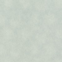 Обои Rasch 957341 Raymond