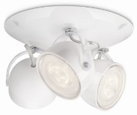 Spot Philips Dyna White 53233/31/16