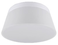 Потолочный светильник Trio Baroness 608900331