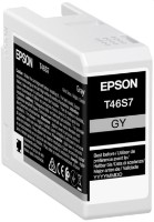 Cartuș Epson C13T46S700 Gray