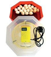 Инкубатор ERT-MN 9051/INC4