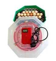 Инкубатор ERT-MN 9054/INC3