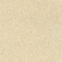 Обои Rasch 617344 Linares