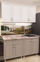 Кухонный гарнитур Bafimob Mini MDF 1.2m Dub Konkordiya/Dub Polyarnyi