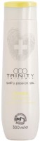 Șampon pentru păr Trinity Summer 300ml