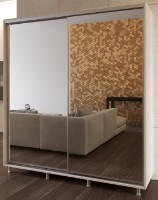 Шкаф-купе Bafimob D-180 Shamoni