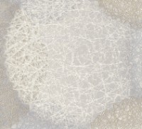 Обои EuroDecor 9067-11 Samui