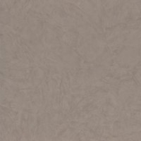 Tapete Zambaiti Parati 46044 Trussardi 6