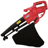 Aspirator-suflător de frunze Raider RD-EBV03
