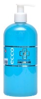 Средство для очистки рук ECCOLUX Home Antiseptic Gel 500ml (dispenser)