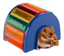 Categoria Produse pentru rozătoare