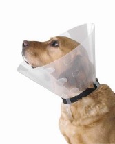 Categoria Gulere de protecție pentru animale