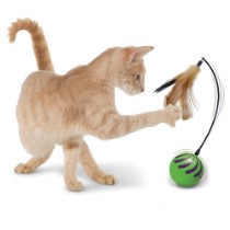 Категория Игрушки для кошек