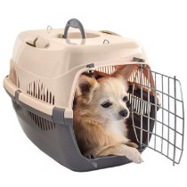 Categoria Transport pentru câini și pisici