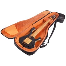 Categoria Huse pentru chitară