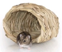 Categoria Hrănitoare pentru rozătoare