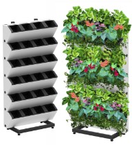 Categoria Fitomoduluri