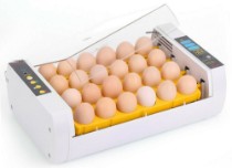 Категория Инкубаторы