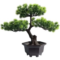 Категория Декоративные цветы