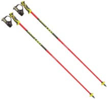 Категория Лыжные палки