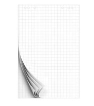 Категория Бумага для флипчартов