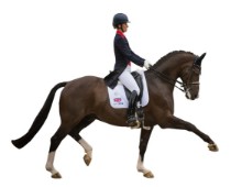 Категория Конный спорт