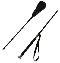 Categoria Bice echitație