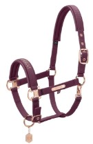 Categoria Căpăstre și urechi