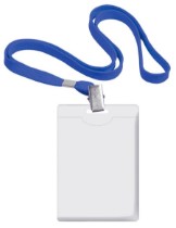 Категория Бейджи