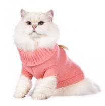 Categoria Haine pentru pisici