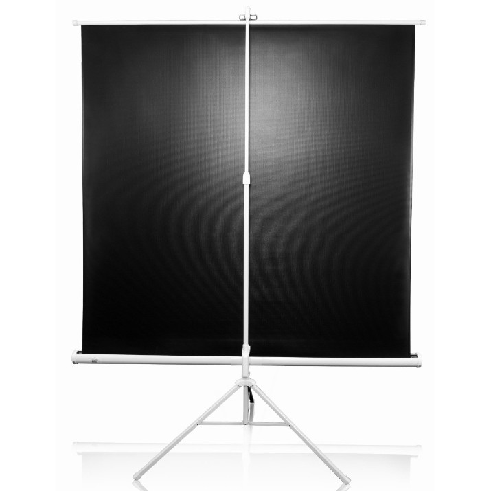 Экран для проектора Elite Screens Tripod 99" White (T99NWS1)