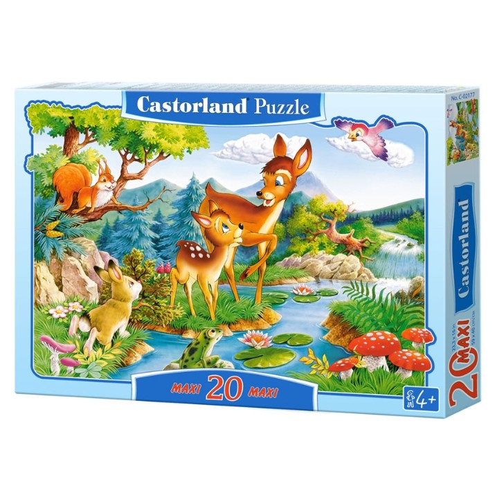 Пазл Castorland 20 Maxi (C-02177)