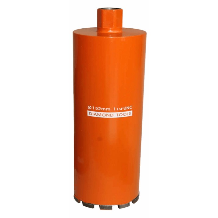 Carota Bisonte BT2000559