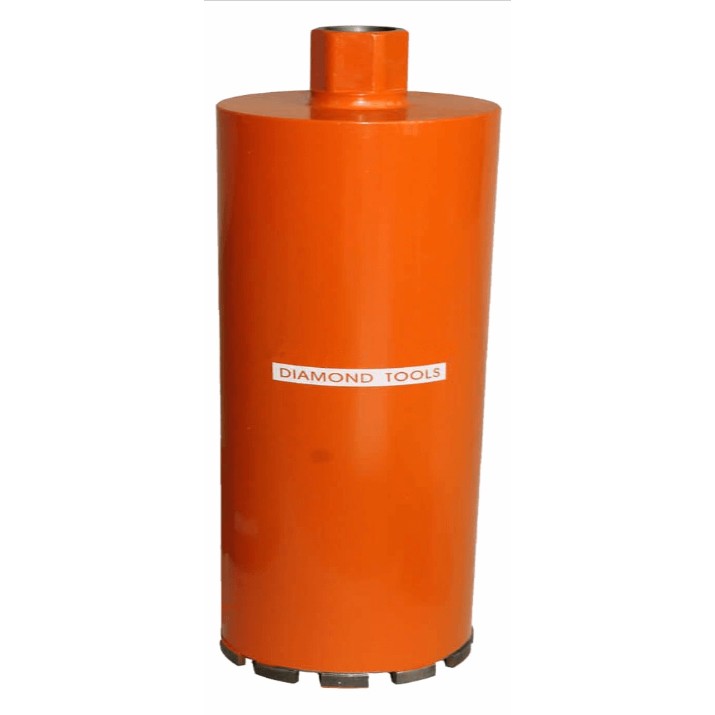Carota Bisonte BT2000561