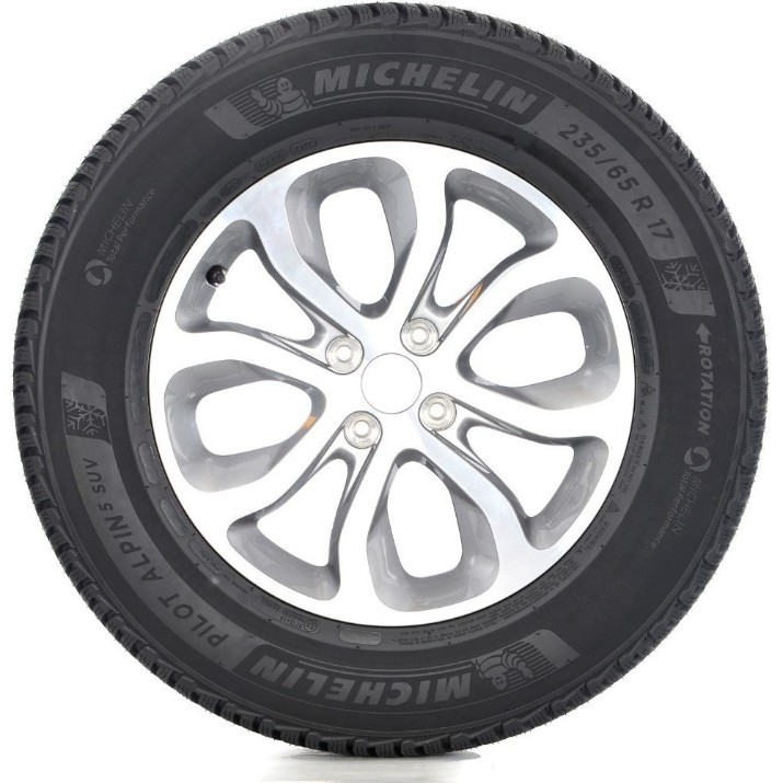 Шина Michelin Pilot Alpin 5 SUV 255/55 R18 109V