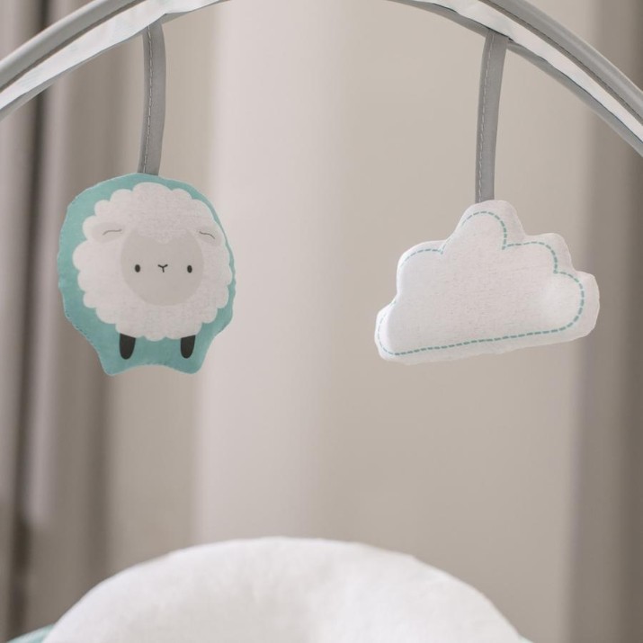 Электрические качели Bright Starts Ingenuity Swingity Swing Goji (12536)