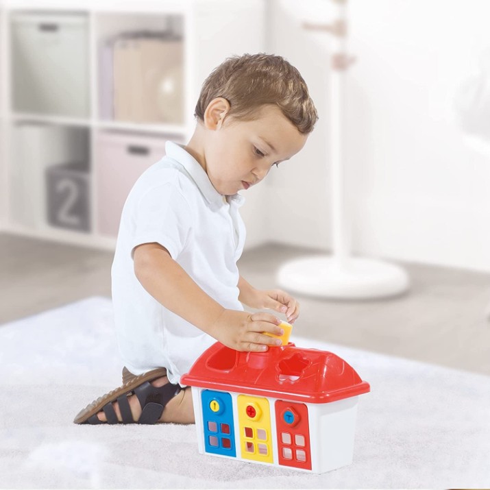 Сортер Dolu Shape sorter Happy House (5097)